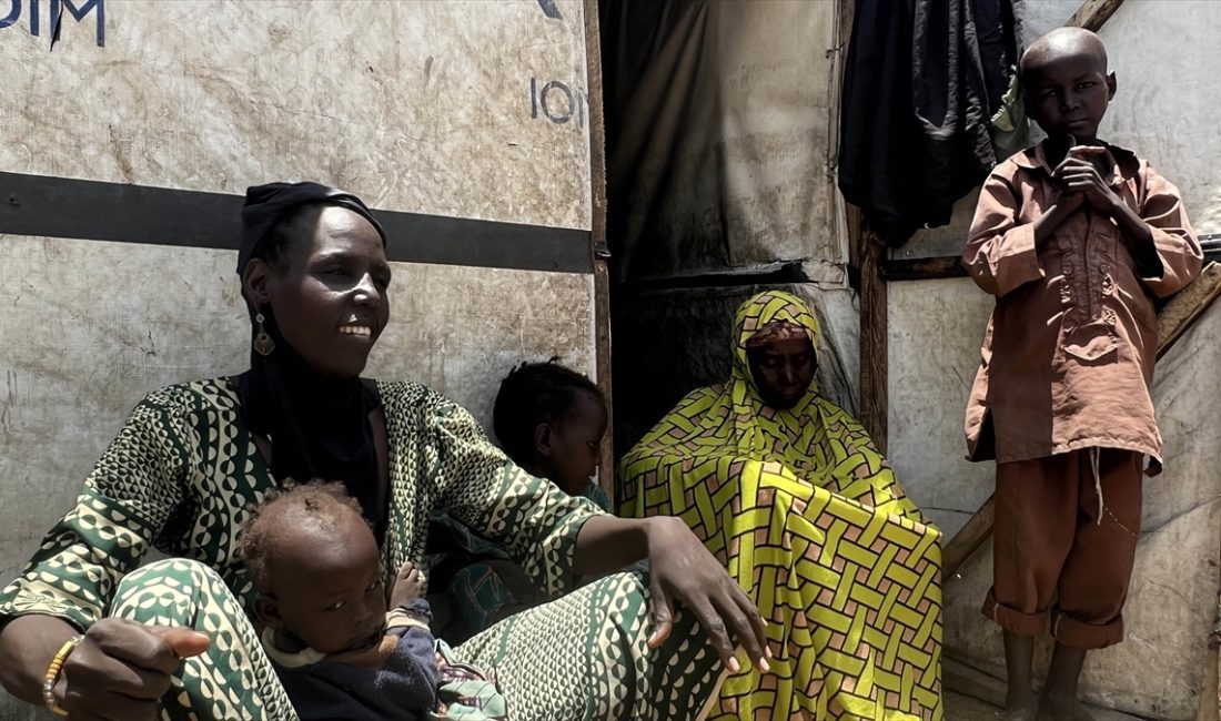 Nijerya'nın Borno Eyaleti Valisi Zulum, ülkenin kuzeydoğusunda terör örgütü Boko