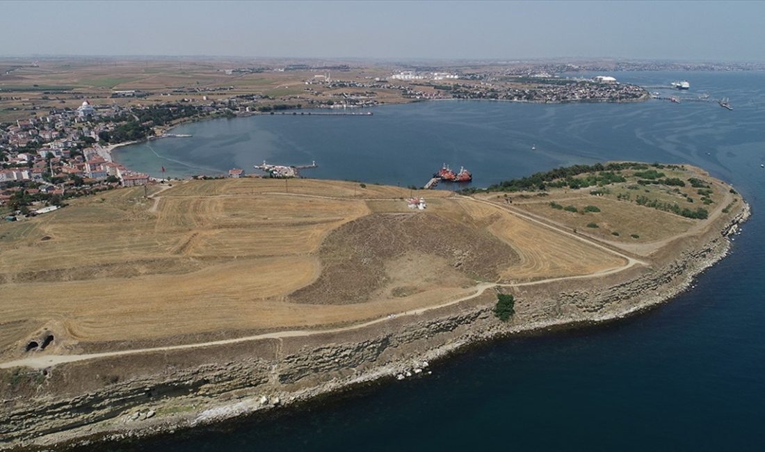 Mimar Sinan Üniversitesi Fen Edebiyat Fakültesi Arkeoloji Bölümü Öğretim Üyesi