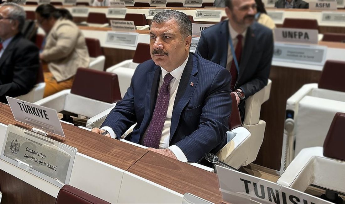 Sağlık Bakanı Fahrettin Koca, İspanya Sağlık Bakanı Monica Garcia Gomez'le