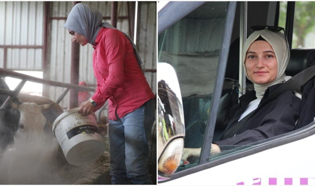 Sakarya'da yaşayan Havva Kara, bir yandan hayvancılıkla uğraşırken bir yandan