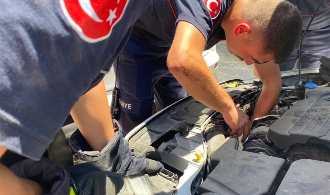 ANTALYA (AA) – Antalya'nın Serik ilçesinde bir otomobilin motoruna sıkışan