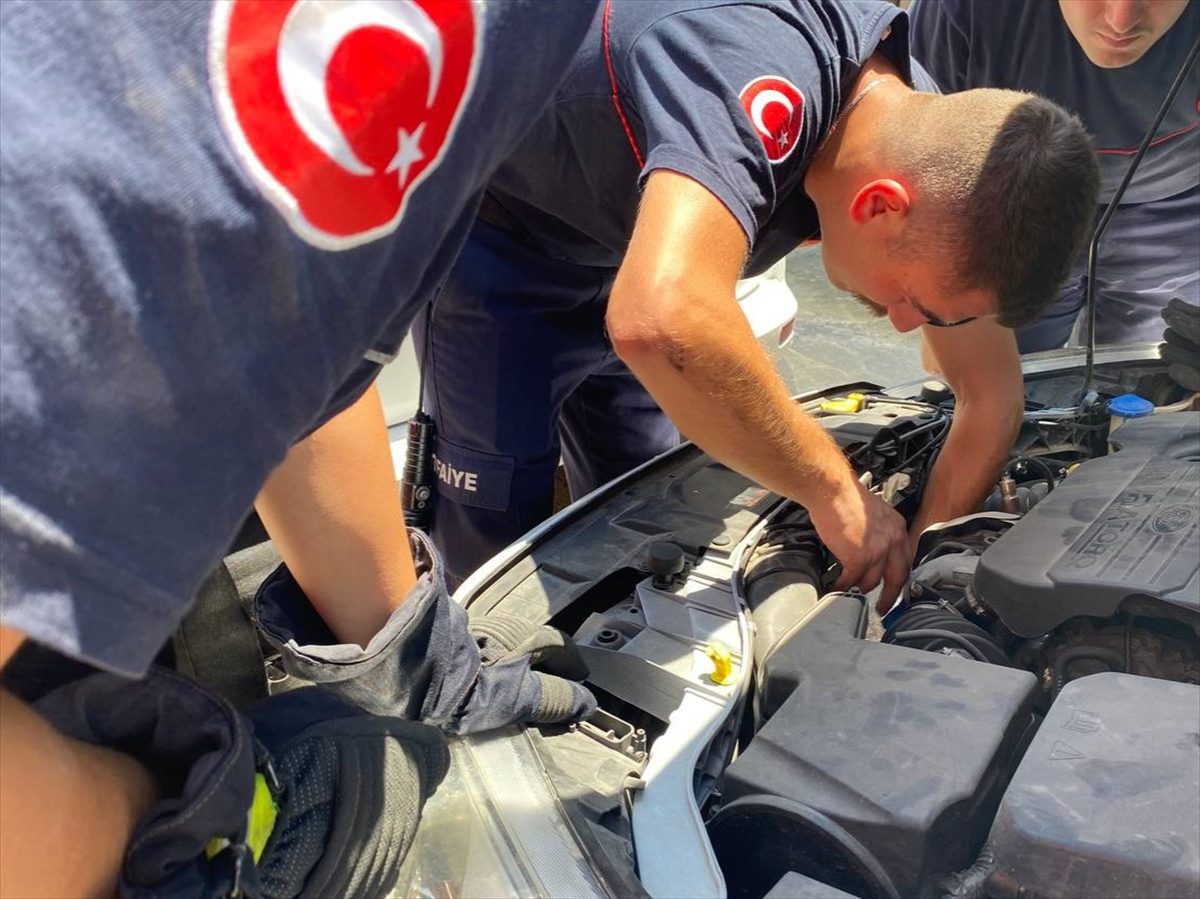 ANTALYA (AA) – Antalya'nın Serik ilçesinde bir otomobilin motoruna sıkışan