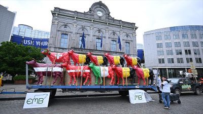 Süt üreticileri, ürünlerine daha fazla ödeme yapılması talebiyle Avrupa Birliği