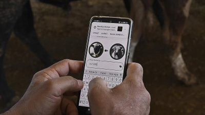 Tarım ve Orman Bakanı İbrahim Yumaklı, "Tarım Cebimde uygulaması ile