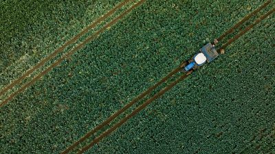 Tarımsal girdi fiyat endeksi (Tarım-GFE), martta aylık bazda yüzde 1,16,