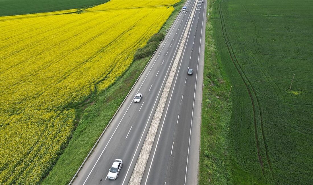 Tekirdağ'da kanolaların çiçek açması ve buğdayların yeşermesiyle renklenen tarlalar, rotası