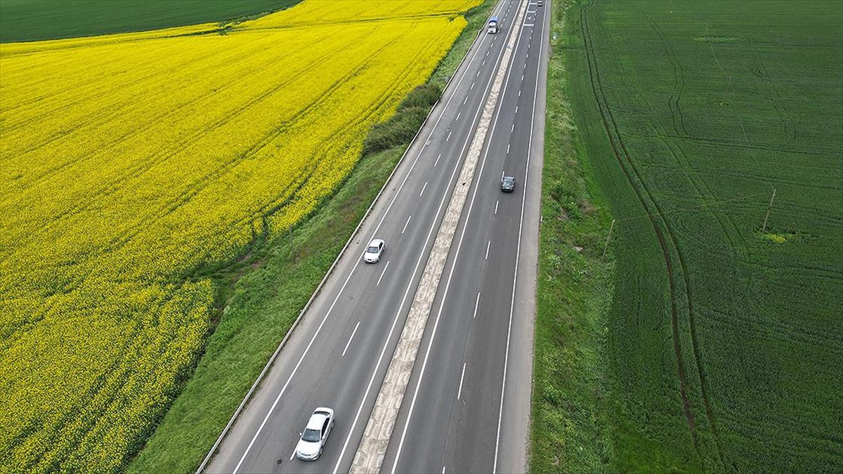 Tekirdağ'da kanolaların çiçek açması ve buğdayların yeşermesiyle renklenen tarlalar, rotası