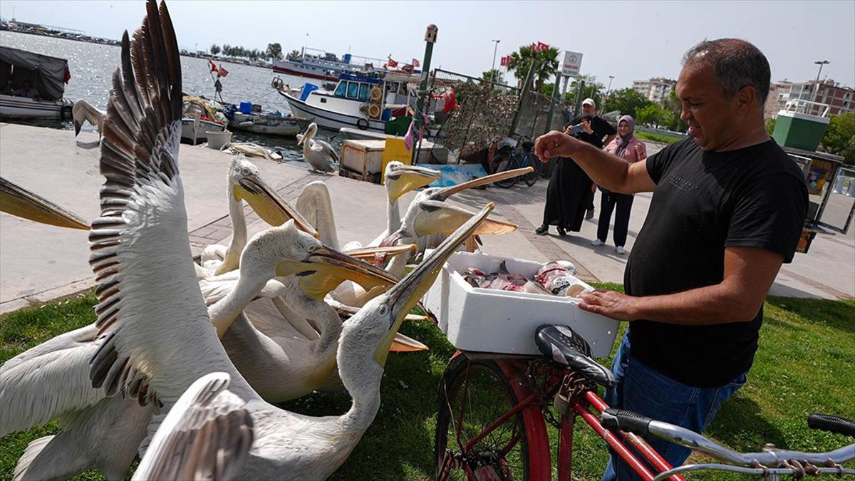 İzmir'de 56 yaşındaki emekli Bedii Akson, Gediz Deltası'nda yaşayan ve