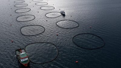 Tarım ve Orman Bakanlığı, KKTC, Fas, Ukrayna ve Azerbaycan gibi