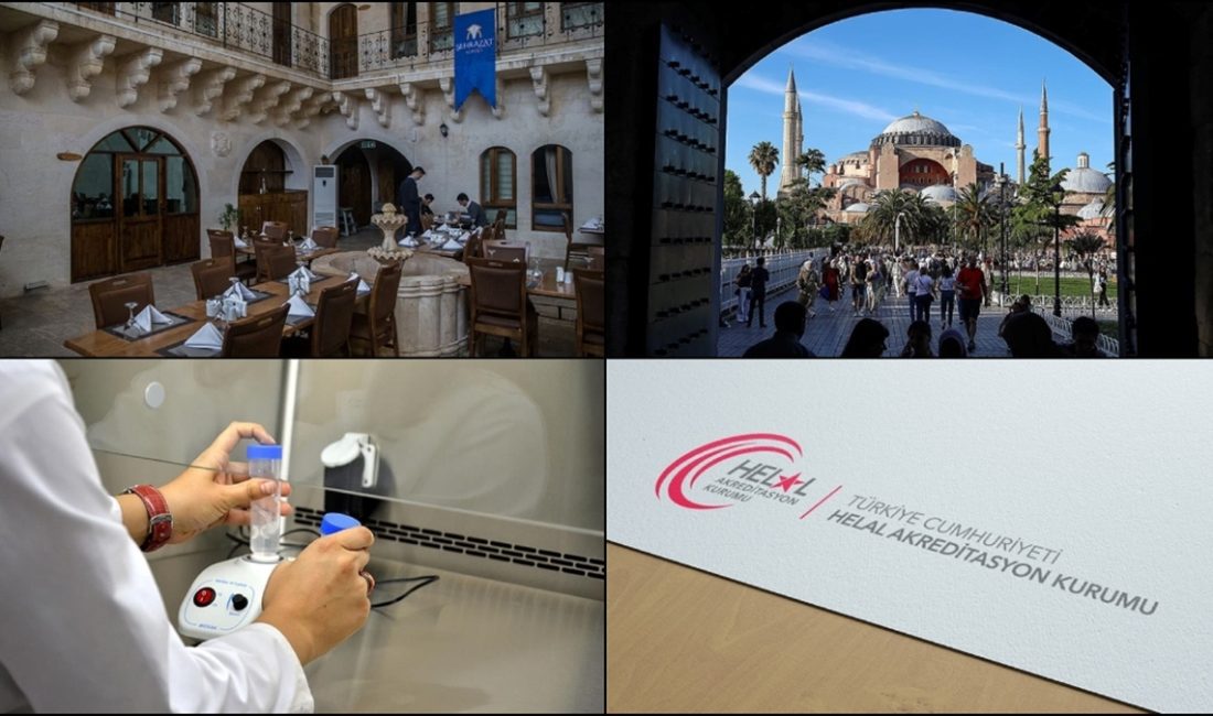 Türkiye'nin helal turizm belgelendirmesinde öncü kuruluş olan Türk Standardları Enstitüsünün