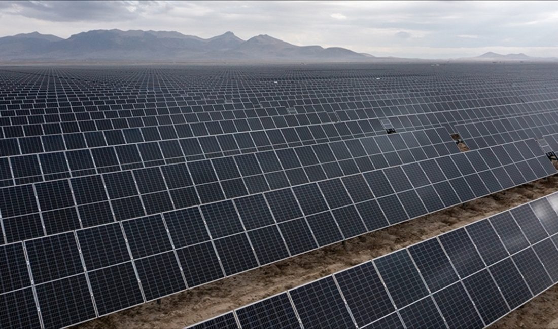 Enerji ve Tabii Kaynaklar Bakanı Alparslan Bayraktar, Türkiye'nin en fazla