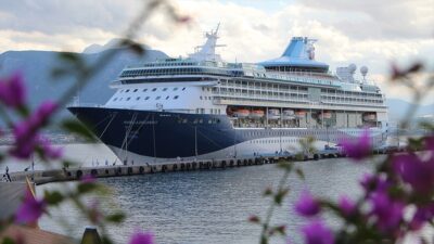 Türkiye'ye gelen, Türkiye'den başka ülkelere giden ve transit yolcuları kapsayan