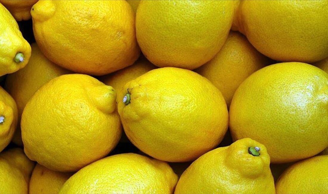ANKARA (AA) – Genel Müdürlükten yapılan yazılı açıklamada, Avrupa Birliğine