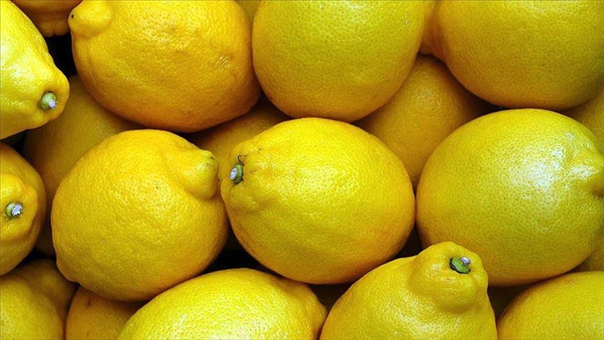 ANKARA (AA) – Genel Müdürlükten yapılan yazılı açıklamada, Avrupa Birliğine
