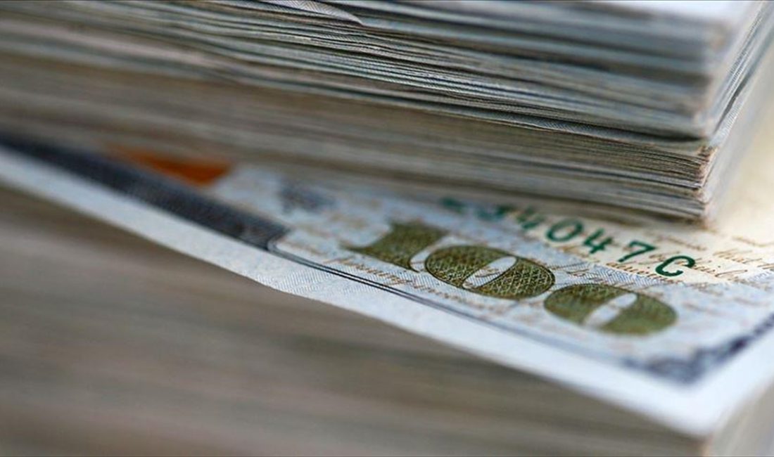 Yurt dışında yerleşik kişiler, 17 Mayıs haftasında 1 milyar 339