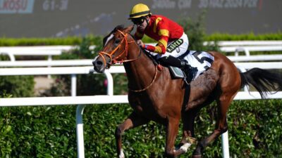 Veliefendi Hipodromu'nda koşulan Türk at yarışçılığının derbisini Emrah Agun'un sahibi