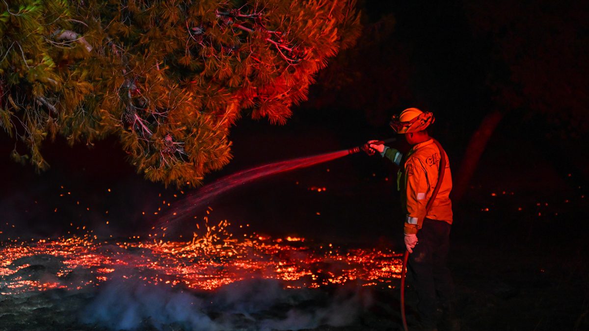 ABD'nin California eyaletindeki San Joaquin bölgesinde cumartesi başlayan yangınlarda yaklaşık