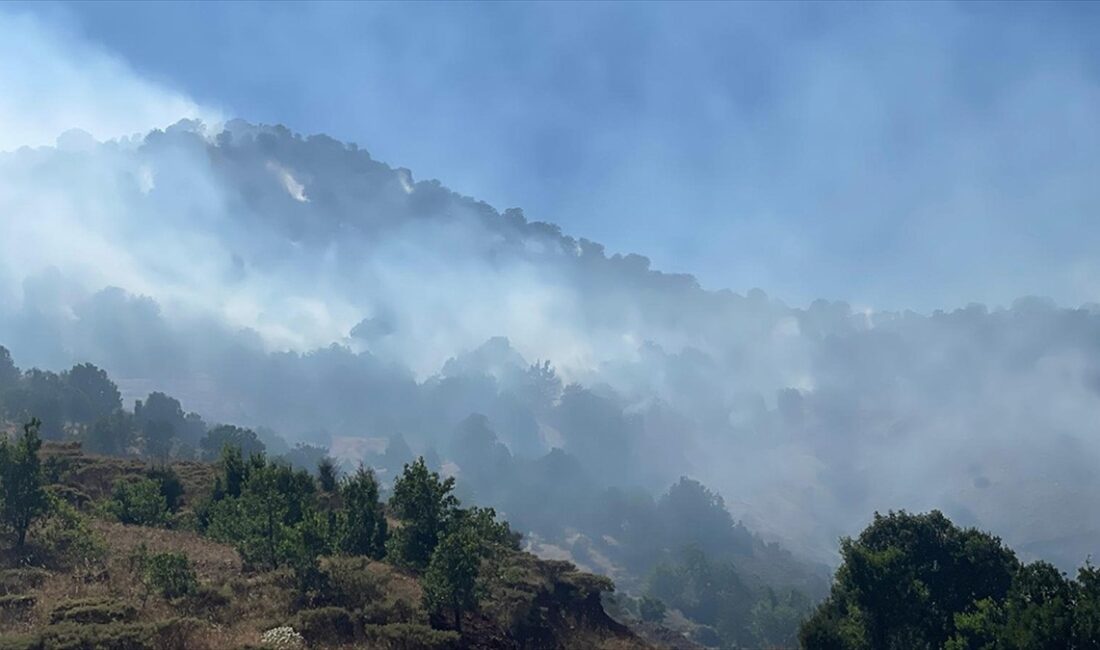 Adıyaman'da 2 bölgede çıkan örtü yangınlarında 14 hektarlık alan zarar
