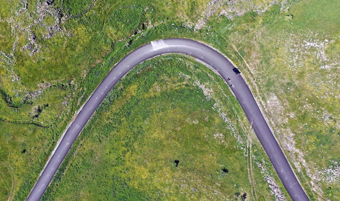 Ağrı Dağı'nda hayvancılık, turizm ve güvenliğe katkı sunması amacıyla 49