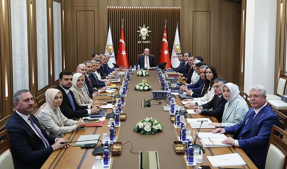 AK Parti Merkez Yürütme Kurulu (MYK), Cumhurbaşkanı ve AK Parti