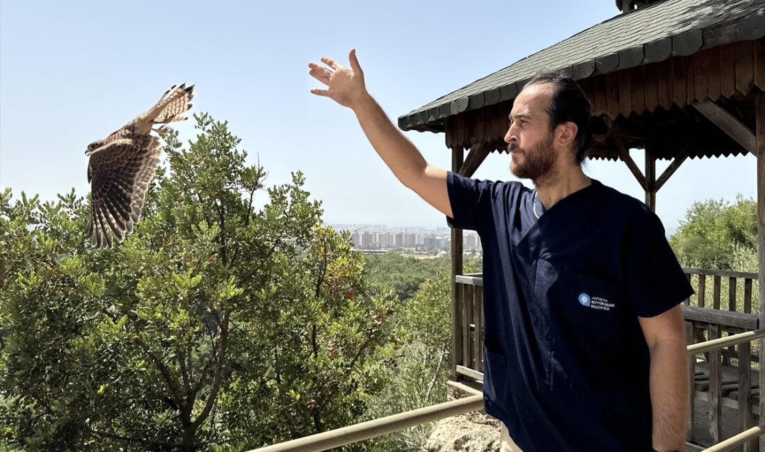 ANTALYA (AA) – Antalya'da doğal yaşam parkına getirilen 5'i yavru