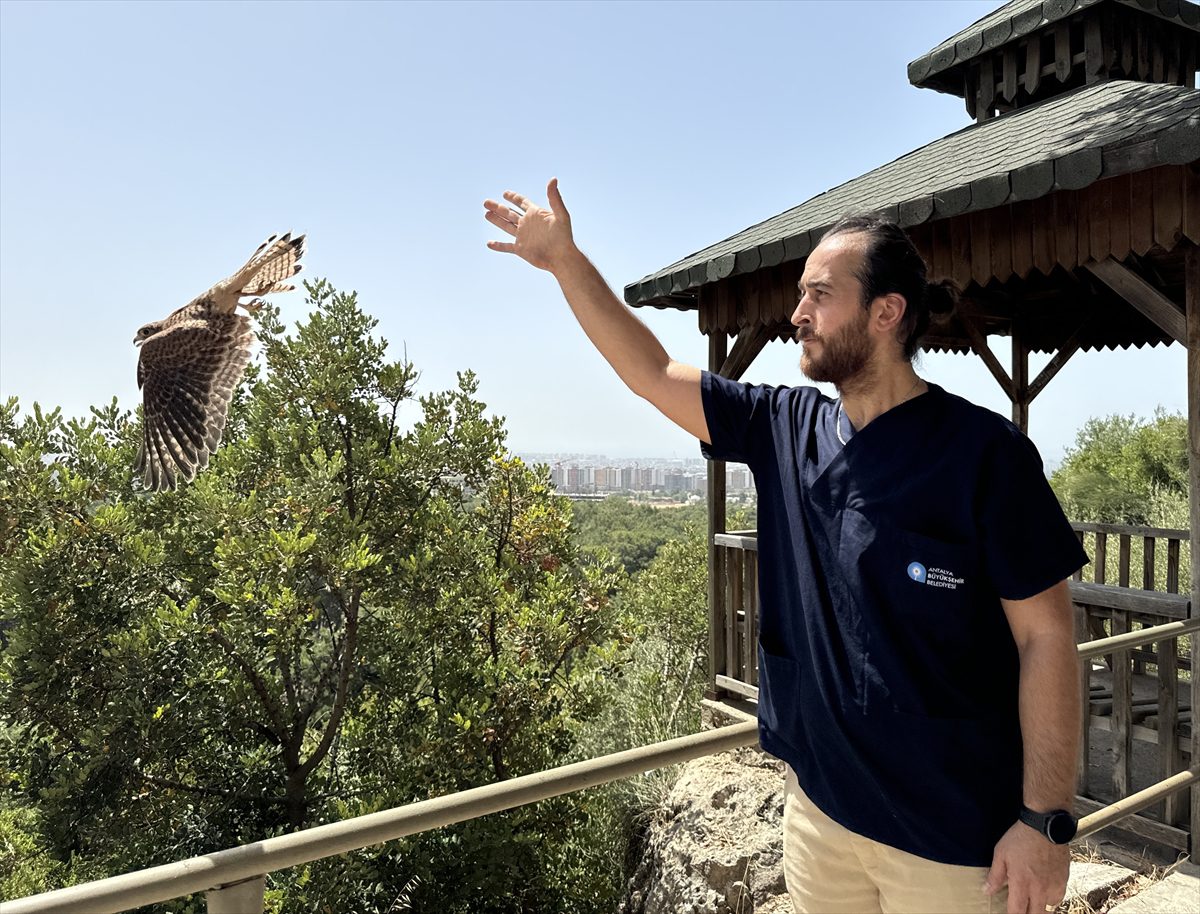 ANTALYA (AA) – Antalya'da doğal yaşam parkına getirilen 5'i yavru