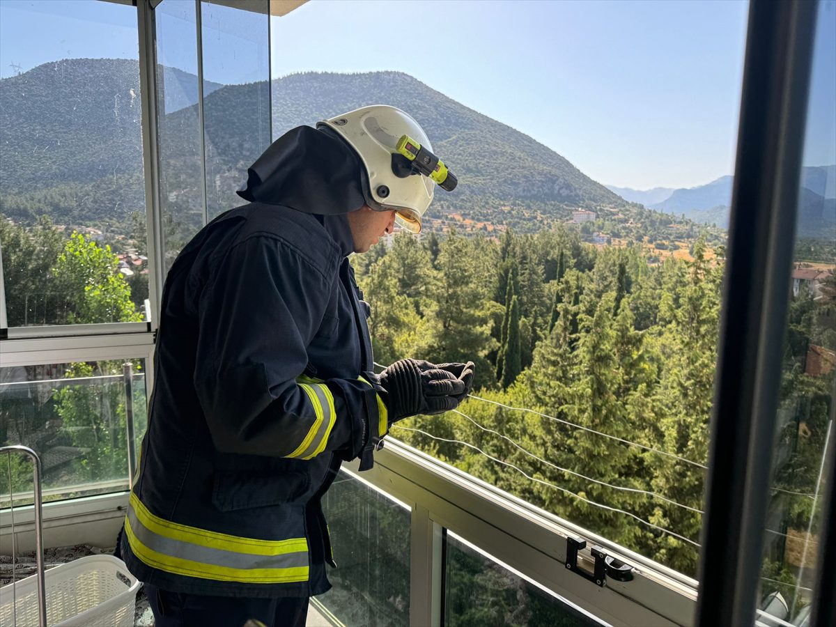 Antalya'nın Akseki ilçesinde eve giren yarasayı itfaiye ekipleri, çıkardı.