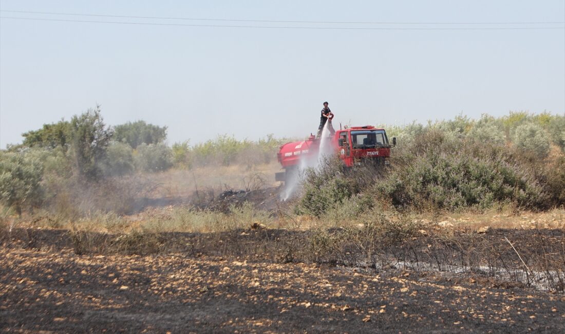 - İtfaiye erinin dumandan etkilendiği yangın bir serada hasara yol