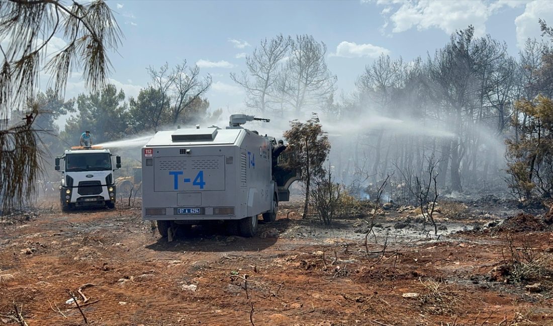 ANTALYA (AA) – Antalya'nın Konyaaltı ilçesinde yerleşim yerine yakın ağaçlık