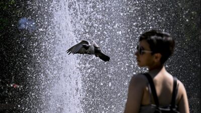 Dünya Nöroloji Federasyonu Çevresel Nöroloji Grup Başkan Yardımcısı Prof. Dr.