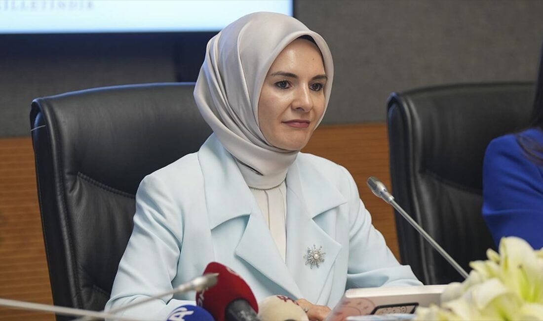 Aile ve Sosyal Hizmetler Bakanı Mahinur Özdemir Göktaş, kadına yönelik