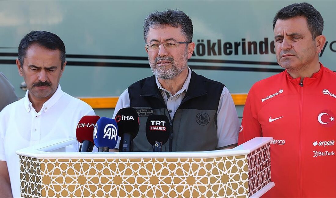 Tarım ve Orman Bakanı Yumaklı, Çanakkale'nin Eceabat ilçesindeki yangınla mücadelede