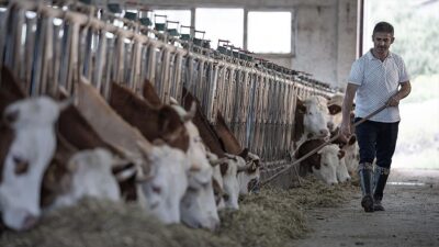 Türkiye Kırmızı Et Üreticileri Merkez Birliği Başkanı Tunç, Tarım ve
