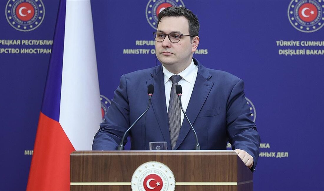 Çekya Dışişleri Bakanı Jan Lipavsky, "Türkiye önemli ticaret ve yatırım