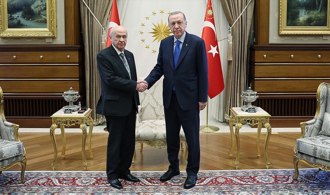 Cumhurbaşkanı Recep Tayyip Erdoğan ve MHP Genel Başkanı Devlet Bahçeli