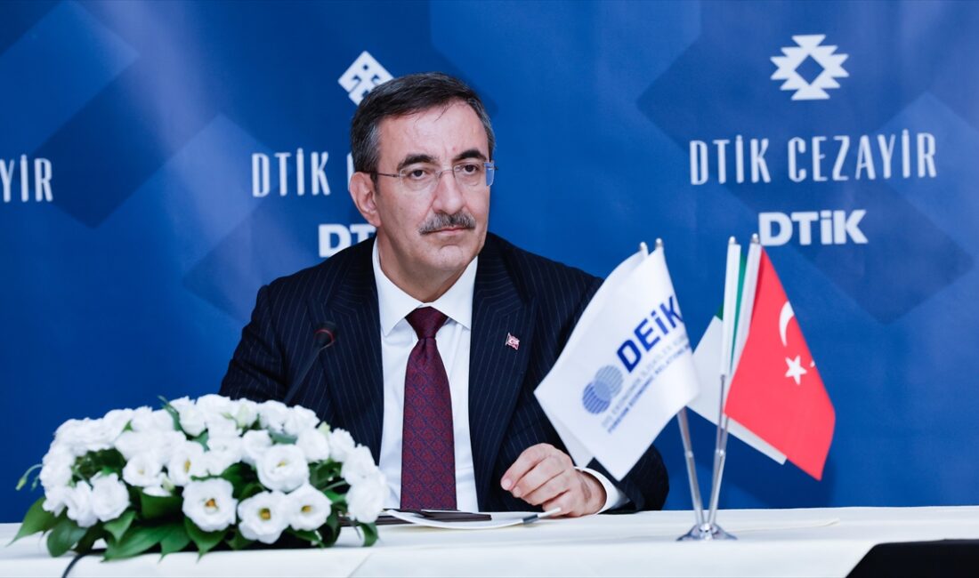 Cumhurbaşkanı Yardımcısı Cevdet Yılmaz, "Cezayir ülkemizin Afrika kıtasında en çok