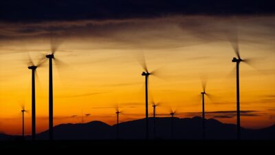 Türkiye Rüzgar Enerjisi Birliği (TÜREB) Genel Sekreteri İskender Kökey, 2022