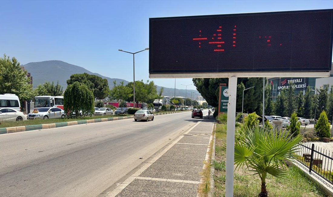 Adana, Mersin, Hatay ve Osmaniye'deki bunaltıcı sıcaklar günlük hayatı olumsuz