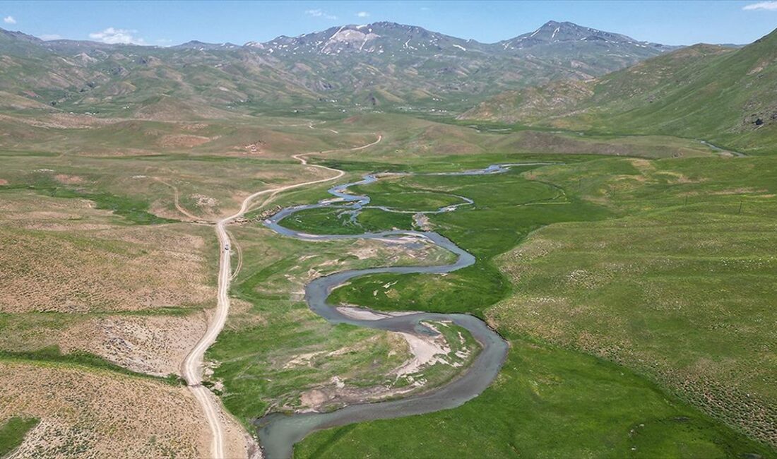 Şırnak'ın Beytüşşebap ilçesinde Faraşin Yaylası'ndaki menderesler dronla görüntülendi.