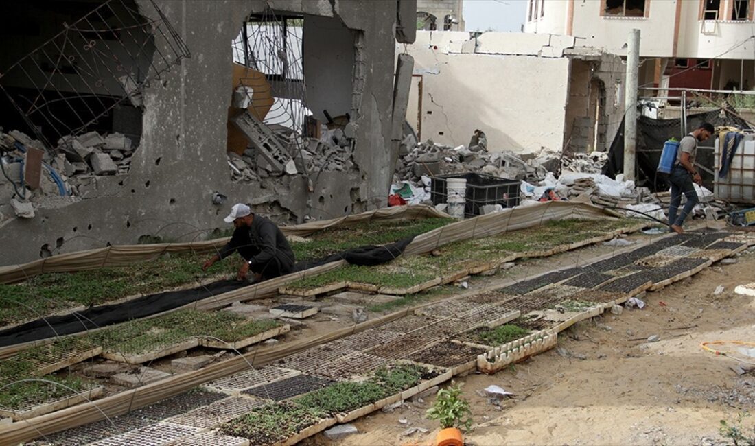 Filistinli ekonomi uzmanı Muhammed Ebu Ceyyab, İsrail'in Gazze Şeridi'nde aylardır