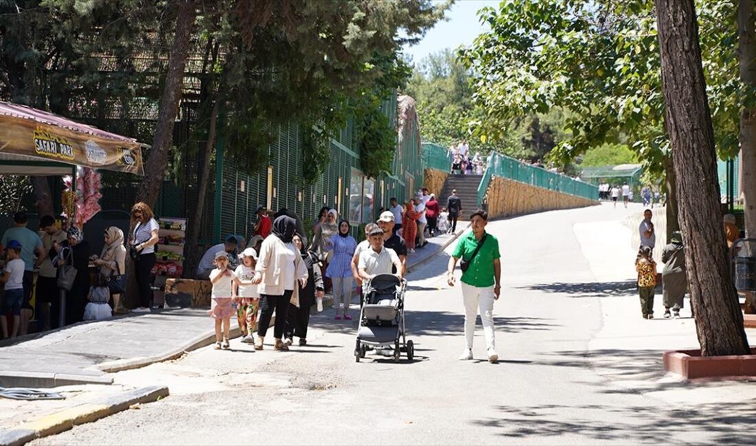 Gaziantep Hayvanat Bahçesi'nde, Kurban Bayramı tatili dolayısıyla ziyaretçi yoğunluğu yaşanıyor.