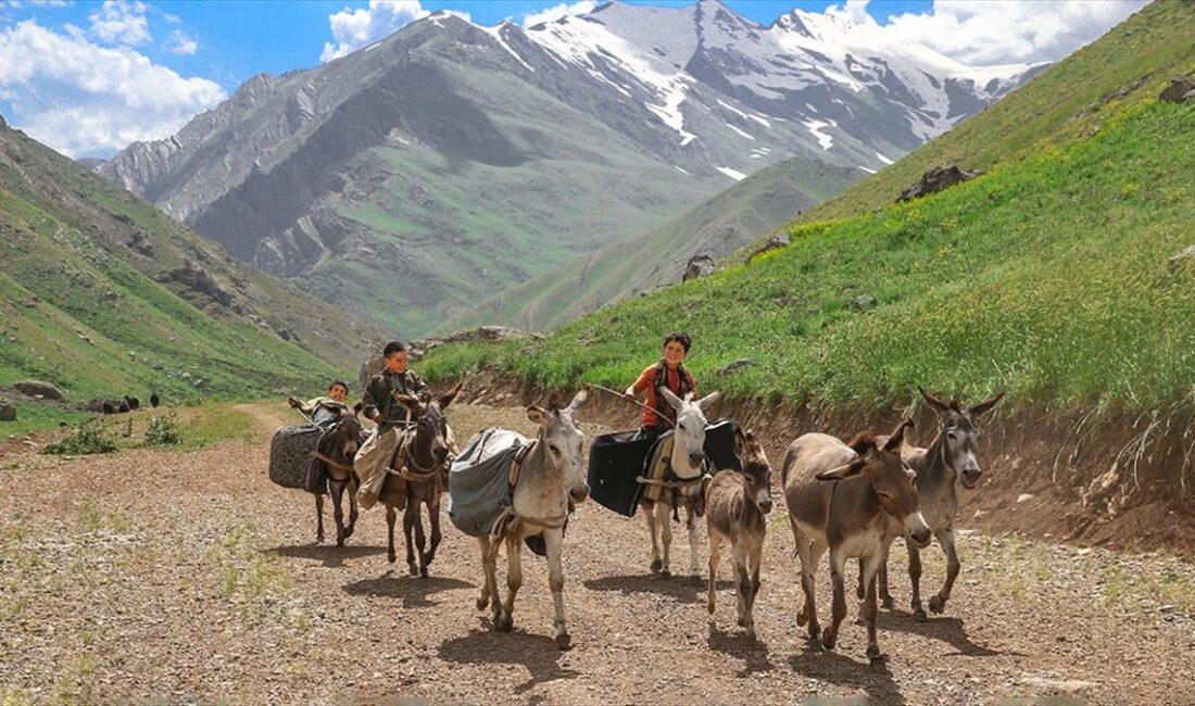 Huzur ve güven ortamının sağlandığı Hakkari'nin Çukurca ilçesindeki Han Yaylası,