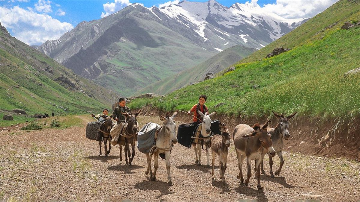 Huzur ve güven ortamının sağlandığı Hakkari'nin Çukurca ilçesindeki Han Yaylası,