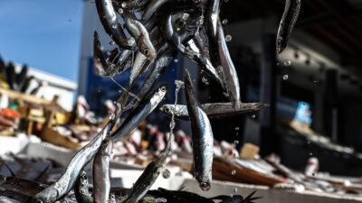 Su Ürünleri Kooperatifleri Merkez Birliği Yönetim Kurulu Başkanı Ramazan Özkaya,