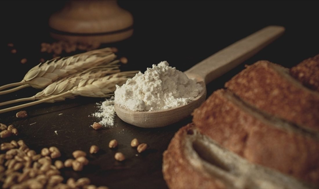 Hububat ihracatı rakamlarını değerlendiren TİM Hububat, Bakliyat, Yağlı Tohumlar ve