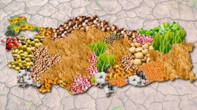 Türkiye'de tarım sektörünün sürdürülebilirliği ve çiftçilerin refahı için, tarım politikalarının