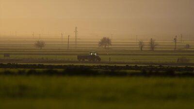 Tarım ve Orman Bakanlığı Tarım ve Kırsal Kalkınmayı Destekleme Kurumu