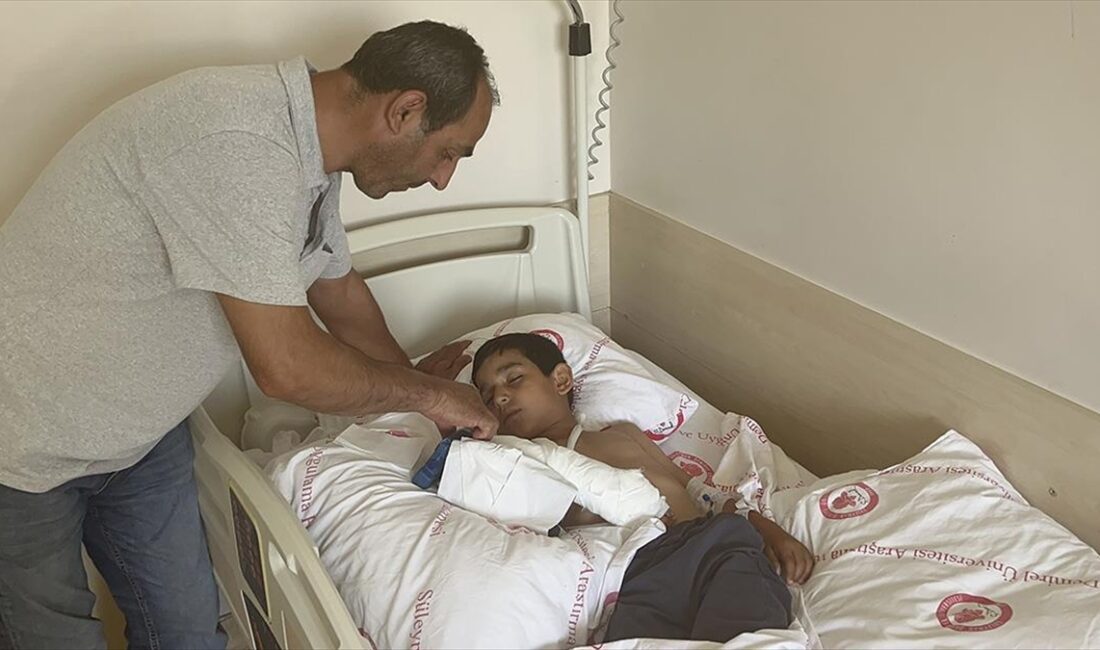 Isparta'nın Sav beldesinde sahipsiz köpeklerin saldırısından kaçmak isterken duvardan atlayan