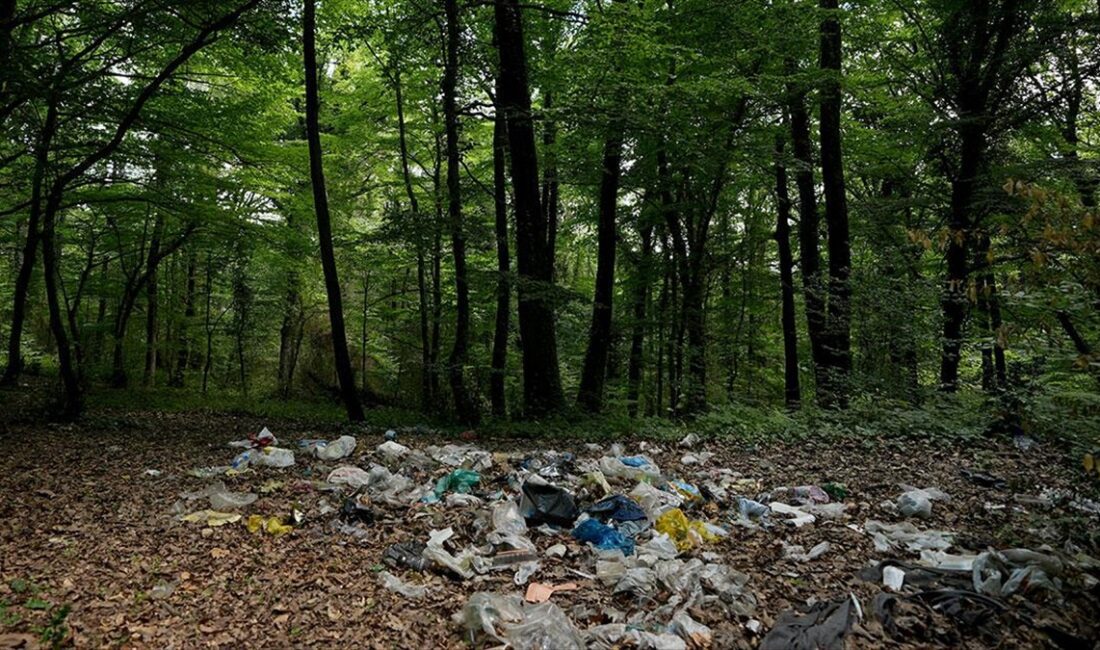 Bayram tatilinde İstanbul'un ormanlık alan ve plajlarını dolduranlardan geriye çöp