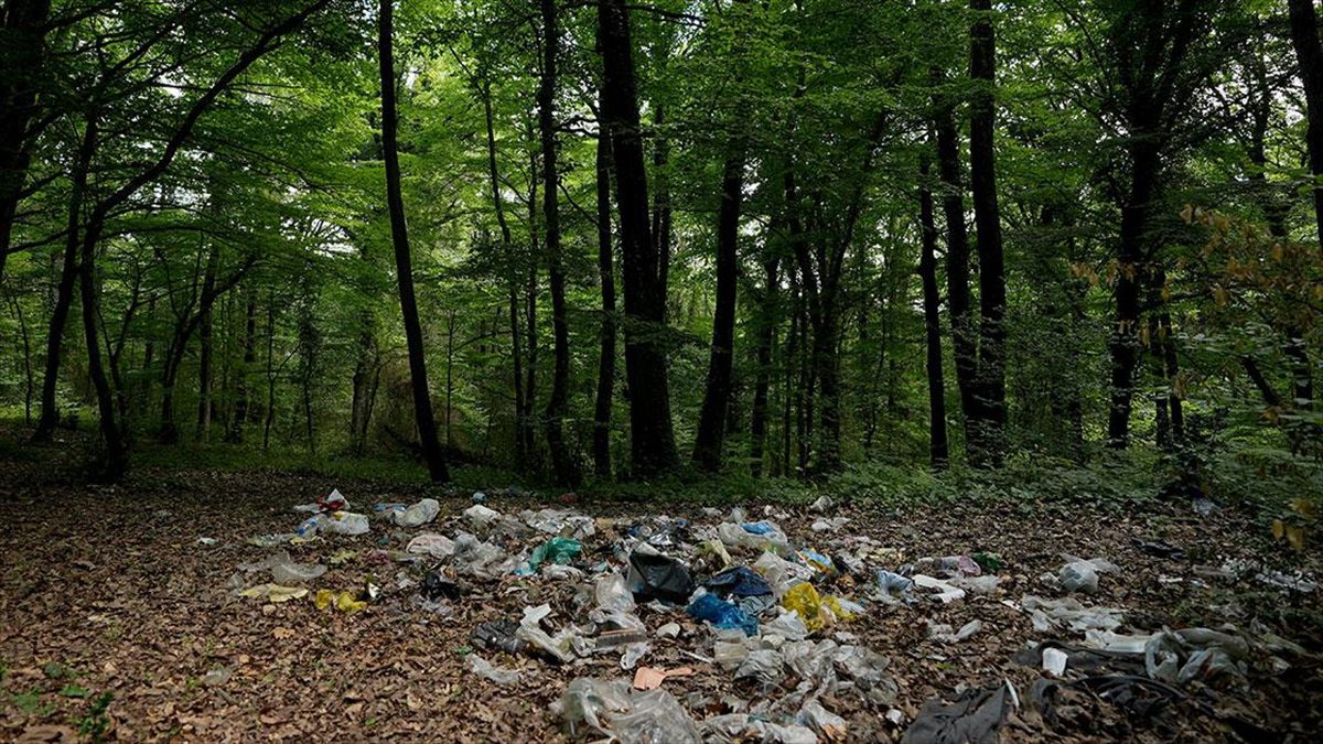 Bayram tatilinde İstanbul'un ormanlık alan ve plajlarını dolduranlardan geriye çöp